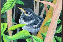 fledgling_mockingbird